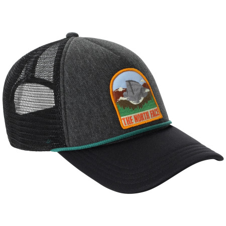 Gorra The North Face Valley Trucker gris oscuro Tnf Dark Grey Heather