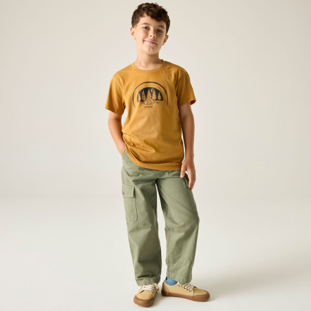 Camiseta para niños Regatta Bosley Wood Brown