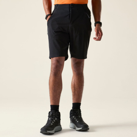 Pantalones cortos de hombre Dare 2b Torrek Lite Short