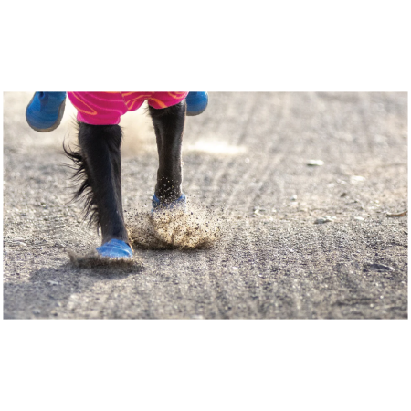 Zapatos para perro Ruffwear Hi & Light™ Trail Shoes