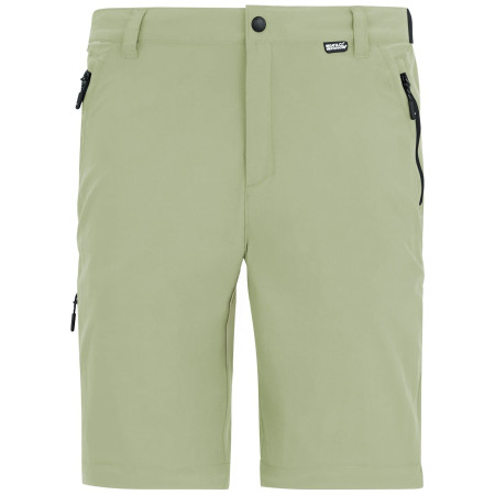Pantalones de hombre Regatta Anti-Insect Travel Light Z/O Trousers