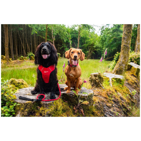 Correa para perro Mountain Paws Rope Dog Lead