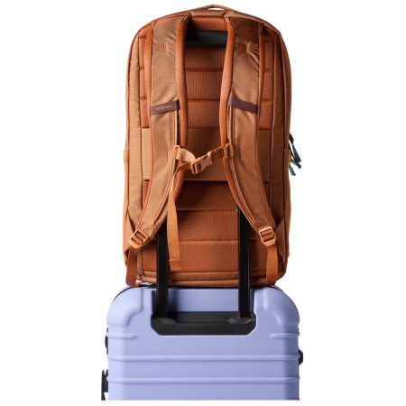 Mochila Cotopaxi Allpa 26L Daypack
