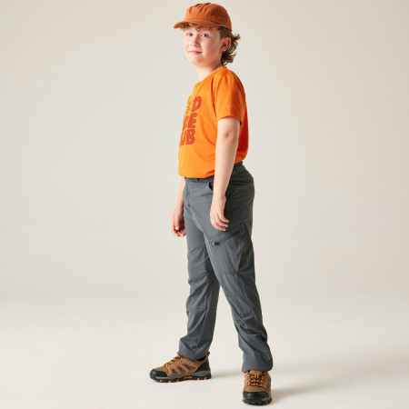 Pantalones para niños Dare 2b Rapid trouser Magnet