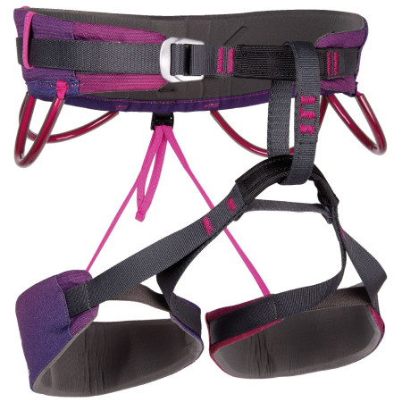 Arnés de escalada Camp Energy Janja