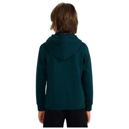 Sudadera para niños 4F Sweatshirt M1959