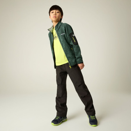 Sudadera para niños Regatta Junior Newhill DrkForGlacGr