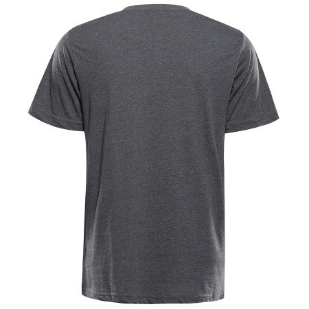 Camiseta de hombre Alpine Pro Grem 3