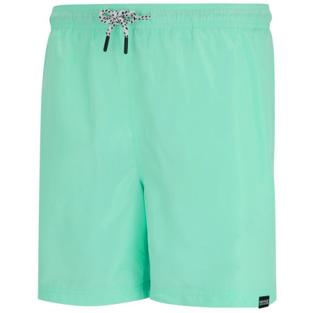 Pantalones cortos de hombre Regatta Mackleyna Swim Short