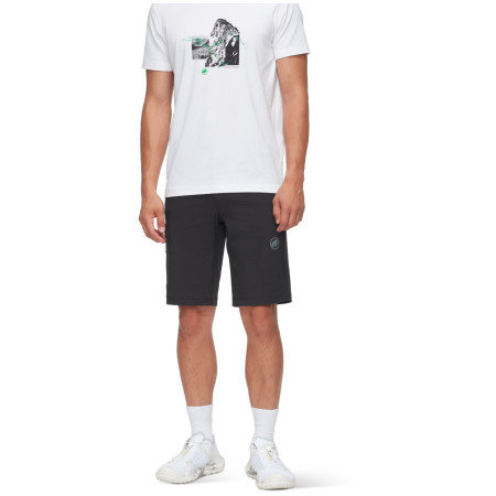 Pantalones cortos de hombre Mammut Runbold IV Shorts