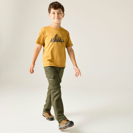 Pantalones para niños Regatta Sorcer Z/O Trousers III Treetop