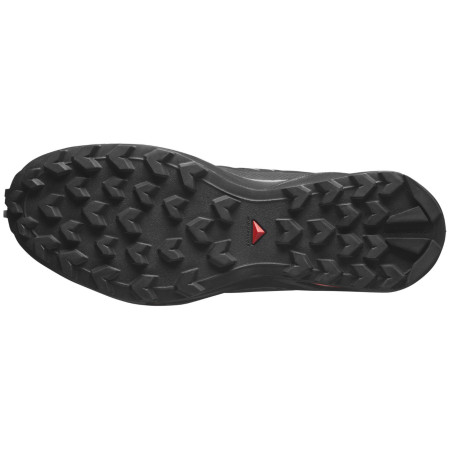 Calzado de hombre Salomon Speedcross Peak