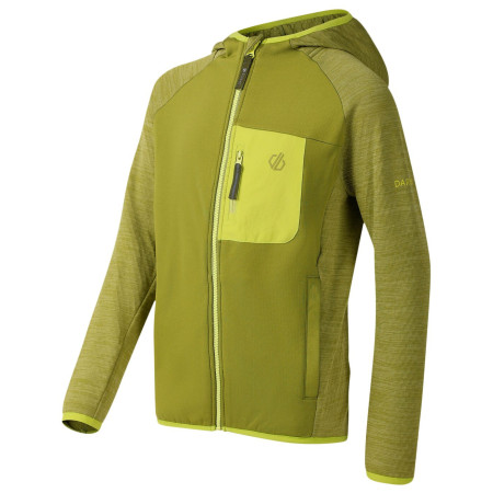 Chaqueta para niños Dare 2b Expedition Midlayer GoldnCypress