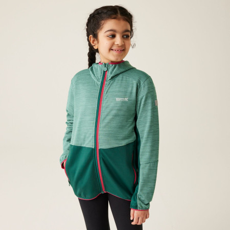 Sudadera para niños Regatta Prenton III