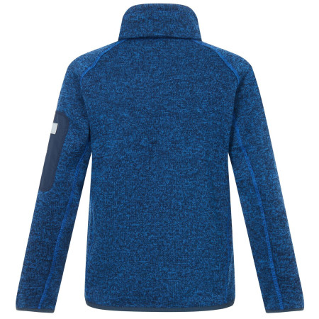 Sudadera para niños Regatta Junior Newhill Aviator Blue Golden Cypress