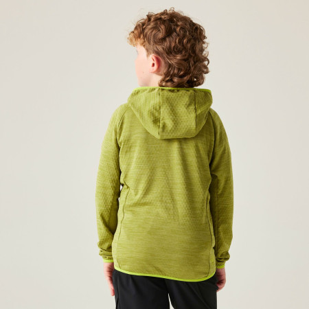 Chaqueta para niños Dare 2b Expedition Midlayer GoldnCypress