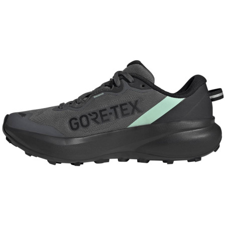 Zapatillas de carrera para mujer Adidas Terrex Tracefinder Plus Gtx