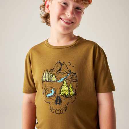 Camiseta para niños Dare 2b Trailbazer III Tee Dark Cumin