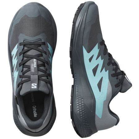 Calzado de mujer Salomon Alphaglide Gore-Tex