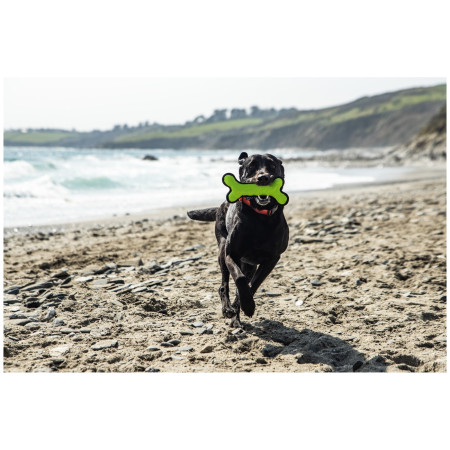 Juguete para perro Mountain Paws Rubber Bone Dog Toy