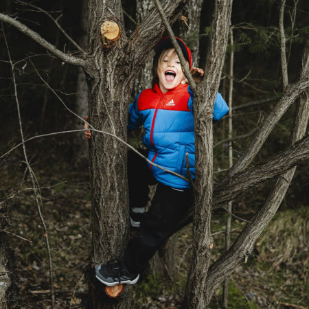 Calzado para niños Adidas Terrex Ax4R K