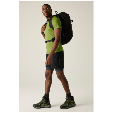 Camiseta de hombre Regatta Fingal Edition