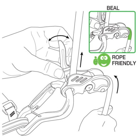 Asegurador Beal Birdie