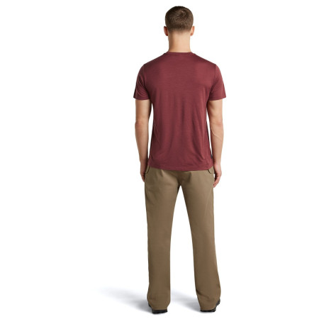 Camiseta funcional de hombre Icebreaker Men Merino 150 Tech Lite SS Tee Transportage