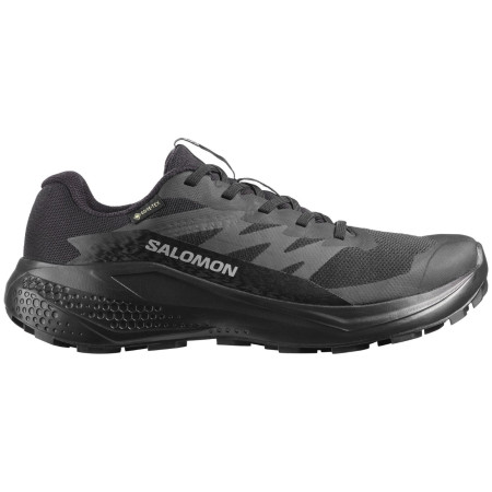 Calzado de mujer Salomon Alphaglide Gore-Tex