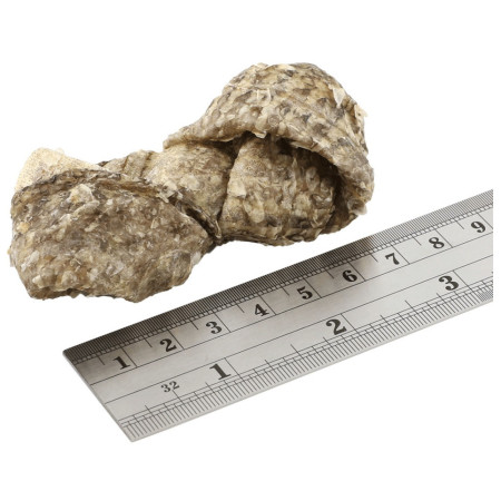 Golosinas para perros Fish4Dogs Dental Sea Jerky Fish Knots 100g