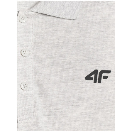 Camiseta de hombre 4F Polo Shirt M366