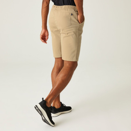 Pantalones cortos de hombre Regatta Aldan Short