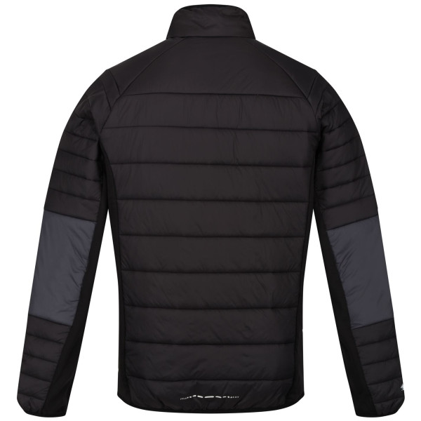 Chaqueta de invierno para hombre Regatta Halton VI