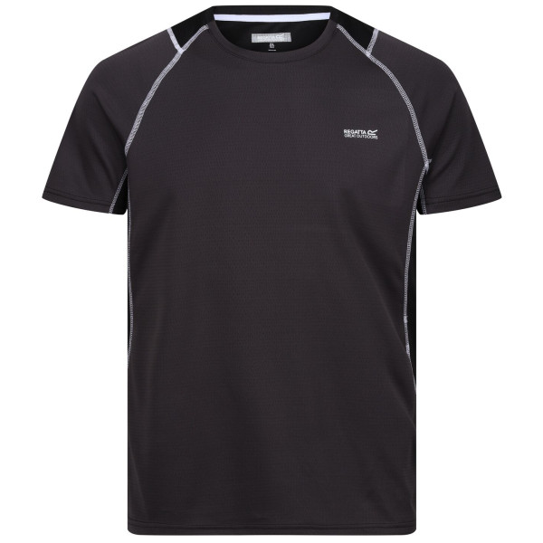 Camiseta de hombre Regatta Virda IV gris Ash/Black