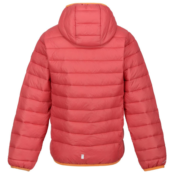 Chaqueta de invierno para niños Regatta Jnr Hooded Marizion