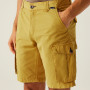 Pantalones cortos de hombre Regatta Shorebay Shorts II