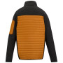 Chaqueta de hombre Regatta Ceden Hybrid