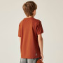 Camiseta para niños Dare 2b Trailbazer III Tee Arabian Spice