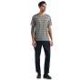 Camiseta de hombre Icebreaker Mens Wave SS Tee Stripe