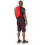 Mochila Osprey Siskin 12