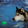 Juguete para perro Nite Ize GlowStreak Wild LED Ball