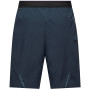 Pantalones cortos de hombre Salewa Pedroc 4 Dst Cargo Short M