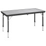 Mesa Brunner Dinemic 6