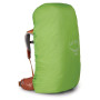 Mochila para niños Osprey Ace 50 2023