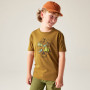 Camiseta para niños Dare 2b Trailbazer III Tee Dark Cumin