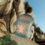Camiseta de hombre Wild Country Sequence Man T-shirt