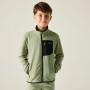 Sudadera para niños Regatta Junior Frankie F/Z Light Sage