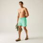 Pantalones cortos de hombre Regatta Mackleyna Swim Short