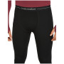 Calzoncillos funcionales de hombre Icebreaker Men 300 MerinoFine™ Polar Leggings