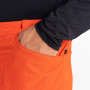 Pantalones cortos de hombre Dare 2b Tuned In II Short 2023